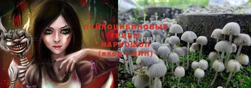 Галлюциногенные грибы Magic Shrooms  Верхотурье 